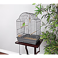 You & Me Parakeet Scallop Top Cage