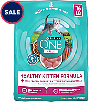 Purina ONE +Plus High Protein Natural Healthy Kitten Formula Dry Kitten Food