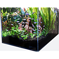 Lifegard Aquatics 3.8 Gallon Low Iron Ultra Clear Aquarium Tank with Built in Side Filter