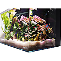Lifegard Aquatics 9.98 Gallon Low Iron Ultra Clear Aquarium Tank with Built in Back Filter