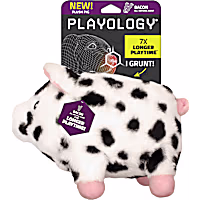 Playology Bacon Scented Pig Plush Oinking Dog Toy
