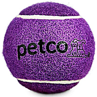 Petco Tennis Ball Dog Toy in Purple