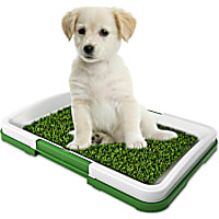 Pet Adobe Puppy Artificial Grass Potty Trainer Mat