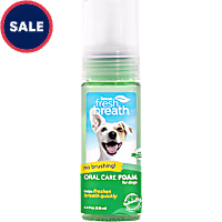 TropiClean Fresh Breath Oral Care Mint Foam for Pets