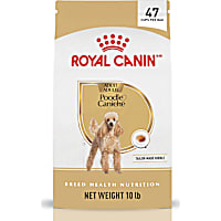Royal Canin Breed Health Nutrition Poodle Adult Dry Dog Food