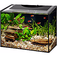 Aqueon Ascent Frameless LED Aquarium Kit