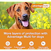 Advantage Multi Topical Solution for Dogs 88.1 to 110 lbs
