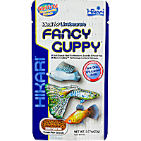 Hikari Fancy Guppy