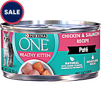Purina ONE Grain Free Healthy Chicken & Salmon Recipe Pate Wet Kitten Food