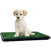 PETMAKER Puppy Potty Trainer