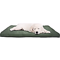 Pet Adobe Foam Pet Bed