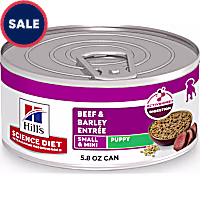 Hill's Science Diet Beef & Barley Entree Puppy Small and Mini Canned Dog Food