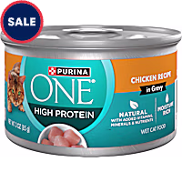 Purina ONE Natural High Protein Cat Food, Chicken Recipe in Wet Cat Food Gravy