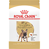 Royal Canin Breed Health Nutrition French Bulldog Adult Dry Dog Food