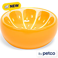 EveryYay Orange Slices Ceramic Cat Bowl
