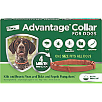 Advantage 4-Month Protection Flea and Tick Collar for Dogs and Puppies