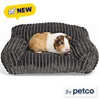EveryYay Couch Small Animal Bed