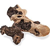 Zoo Med Mopani Driftwood