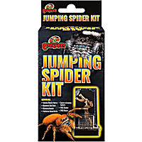 Zoo Med Creatures Jumping Spider Kit