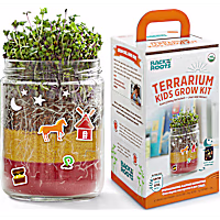 Back to the Roots Organic Terrarium Kids Grow Kit
