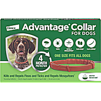 Advantage 4-Month Protection Flea and Tick Collar for Dogs and Puppies