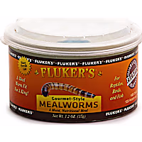 Fluker's Gourmet Style Mealworms Reptile Food