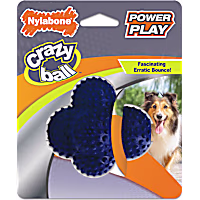 Nylabone Power Play Crazy Ball Dog Toy