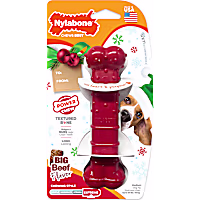 Nylabone Power Chew Holiday Bone Chew Toy Beef for Dogs Up to 35 lbs.