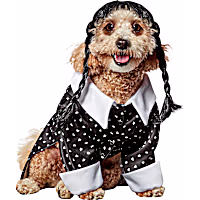 RUBIES The Addams Family Wednesday Addams Pet Costume