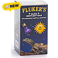 Fluker's Black Nightlight Bulb