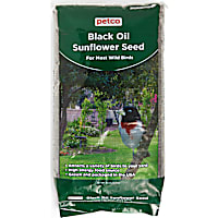Petco Black Oil Sunflower Seed Wild Bird Food