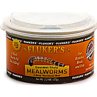 Fluker's Gourmet Style Mealworms Reptile Food