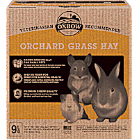 Oxbow Orchard Grass Hay for Rabbit