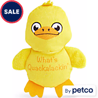 Petco Plush Duck Dog Toy