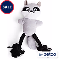 Petco Plush Racoon with Rope Dog Toy