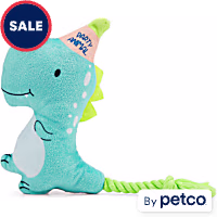 Petco Party Rex Dog Toy
