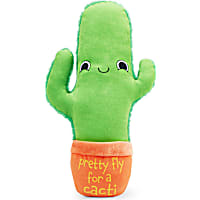 Petco Cactus Dog Toy