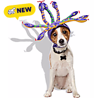 Petco Snake Pet Costume Headpiece