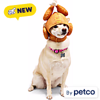 Petco Feast Mode Turkey Pet Costume Headpiece