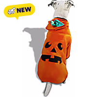 Petco Pumpkin Pet Hoodie