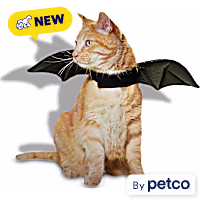 Petco Bat Wings Cat Halloween Costume