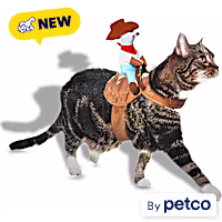 Petco Cowboy Cat Halloween Costume