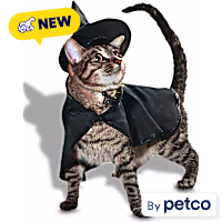 Petco Witch 2-Piece Cat Halloween Costume