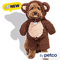 Petco Teddy Bear Illusion Pet Halloween Costume