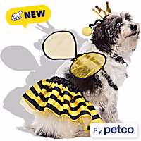 Petco Queen Bee 3-Piece Pet Halloween Costume