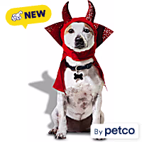 Petco Devil Pet Costume Headpiece