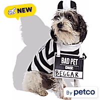 Petco Prisoner Pet Halloween Costume