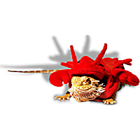 Petco Lobster Bearded Dragon Pet Halloween Costume