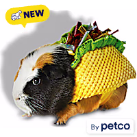 Petco Halloween Taco Small Animal Costume