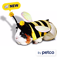 Petco Bumblebee Small Animal Halloween Costume
